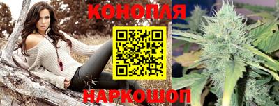круглые Кингисепп
