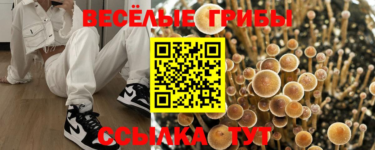 Галлюциногенные грибы MAGIC MUSHROOMS Дальнегорск