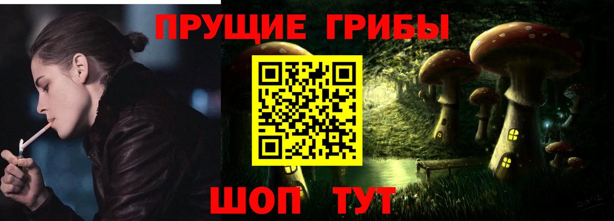 Псилоцибиновые грибы прущие грибы  Вход с VPN  купить  цена  Псилоцибиновые грибы мухоморы  Дальнегорск 